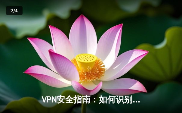 VPN安全指南：如何识别官方正版与防范潜在风险 - 2