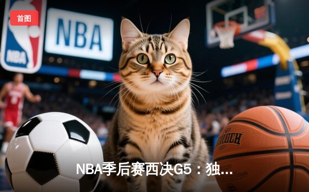 NBA季后赛西决G5：独行侠逆转森林狼 东契奇三双率队挺进总决赛