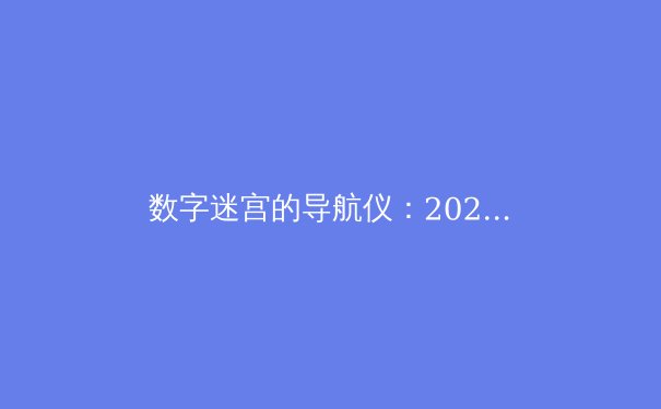 数字迷宫的导航仪：2024年全球VPN技术与应用趋势全解析 - 4