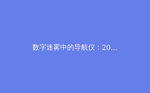数字迷雾中的导航仪：2024年全球VPN技术演进与合规使用深度解析