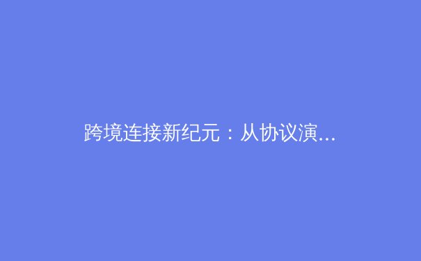 跨境连接新纪元：从协议演进到数字主权，深度解析VPN技术前沿与政策风向 - 3