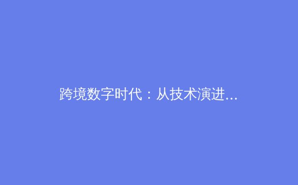 跨境数字时代：从技术演进到政策博弈，深度解读全球VPN生态与未来趋势 - 3