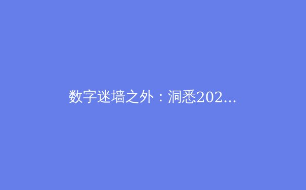 数字迷墙之外：洞悉2024年全球VPN技术演进与网络隐私新格局 - 2