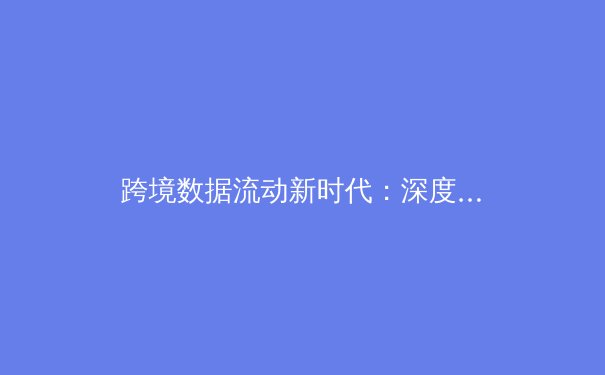 跨境数据流动新时代：深度解析VPN技术演进与全球网络安全格局 - 2
