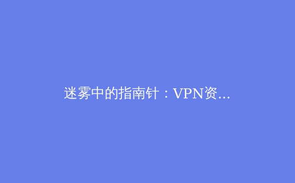 迷雾中的指南针：VPN资讯的价值与专业甄别之道 - 2