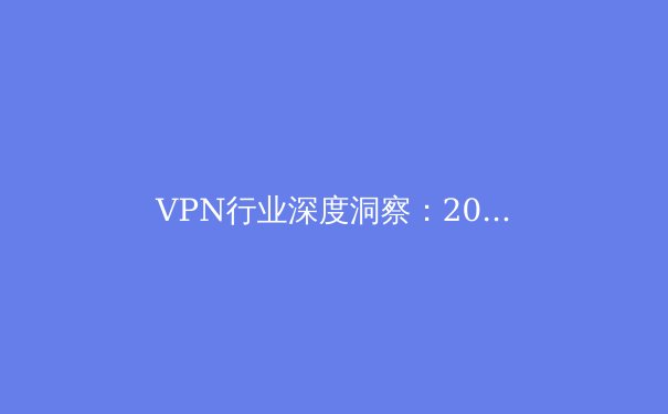 VPN行业深度洞察：2024年网络安全、隐私保护与技术趋势全解析 - 2