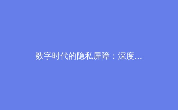数字时代的隐私屏障：深度解读全球VPN技术演进与合规使用指南 - 4