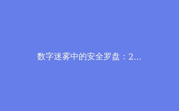 数字迷雾中的安全罗盘：2024年全球VPN技术与隐私保护趋势深度解读 - 3