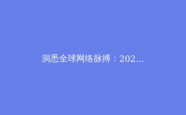 洞悉全球网络脉搏：2024年VPN技术演进与隐私保护新趋势 - 3